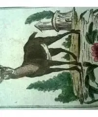 5 litografie originali del 700 - Venezia