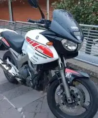 Yamaha tdm 900