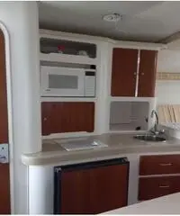 Chris Craft 308 Cruiser