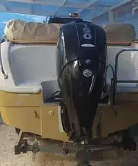 Open 590 , mercury 150 cv 110 ore