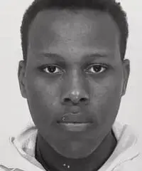 Lavoro estivo Lavoro estivo