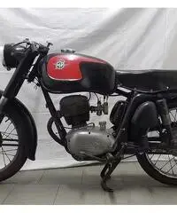 MV Agusta Altro modello - 1962