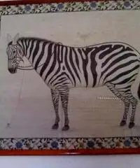 Quadro con zebra - Puglia Quadro con zebra - Puglia