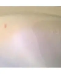 Servizio asparagi ceramica ginori 1920 - Lombardia