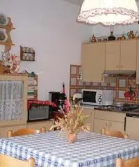 Appartamento in Affitto a 350€ - Udine