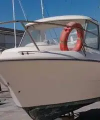 Sessa dorado 20