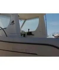 Sessa dorado 20