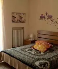 Privato affitta bilocale in Via Verolengo 133 Torino