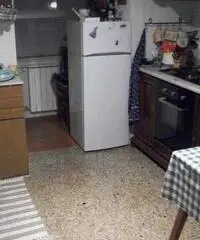Appartamento in Affitto a 500€ - Roma