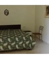 Appartamento in Affitto - CENTRO STORICO - Benevento