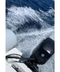 Bwa 550 California Bwa 550 California