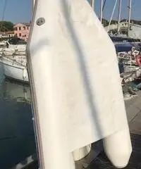 Tender Dolphin 200