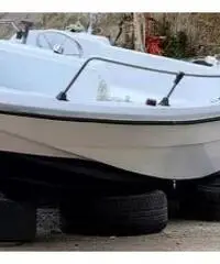 Barca Jaguar 4.60