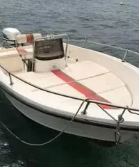 Barca a motore