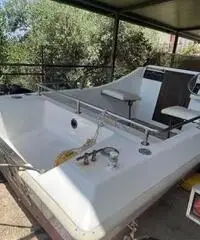 Barca pilotina