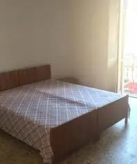 Torino: Appartamento Bilocale