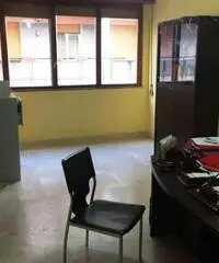 Appartamento in Affitto - V.LE S. MARTINO - Messina