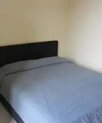 Affitto Appartamento a Torino