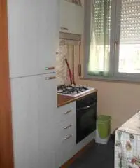 Piacenza: Appartamento Bilocale