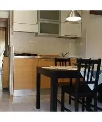 Appartamento in Affitto 50mq - Arezzo