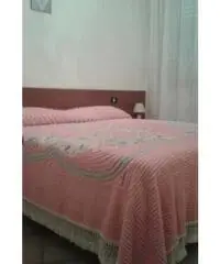 Appartamento di 2 locali in Affitto - Arezzo