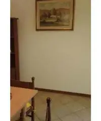 Appartamento di 2 locali in Affitto - Arezzo