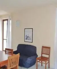 Appartamento di 2 locali in Affitto - Piemonte