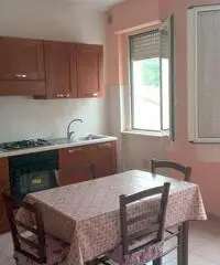 Bilocale arredato in ottimo stato - Viterbo Bilocale arredato in ottimo stato - Viterbo