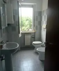 Bilocale arredato in ottimo stato - Viterbo Bilocale arredato in ottimo stato - Viterbo