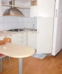 Appartamento in Affitto - ENTRO MURA - Ferrara Appartamento in Affitto - ENTRO MURA - Ferrara