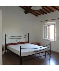 Affitto Appartamento a Collesalvetti - Livorno Affitto Appartamento a Collesalvetti - Livorno