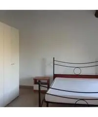 Affitto Appartamento a Collesalvetti - Livorno Affitto Appartamento a Collesalvetti - Livorno