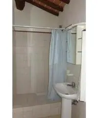 Affitto Appartamento a Collesalvetti - Livorno Affitto Appartamento a Collesalvetti - Livorno