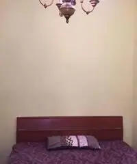 Appartamento di 2 locali in Affitto - Novara Appartamento di 2 locali in Affitto - Novara