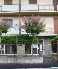 Novara Affitto Appartamento Novara Affitto Appartamento