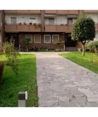 Novara: Appartamento Bilocale Novara: Appartamento Bilocale