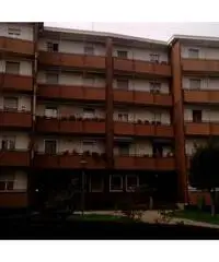 Novara: Appartamento Bilocale Novara: Appartamento Bilocale