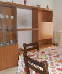 Novara Affitto Appartamento Novara Affitto Appartamento