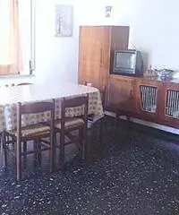 Catanzaro Lido, app.to studenti Catanzaro Lido, app.to studenti