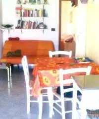 Luminoso bilocale Libero dal 1 marzo 2016 - Torino Luminoso bilocale Libero dal 1 marzo 2016 - Torino