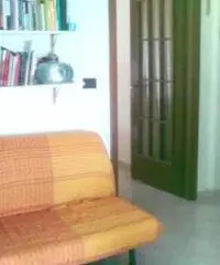 Luminoso bilocale Libero dal 1 marzo 2016 - Torino Luminoso bilocale Libero dal 1 marzo 2016 - Torino