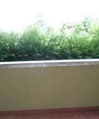 Appartamento di 2 locali in Affitto - Pordenone Appartamento di 2 locali in Affitto - Pordenone