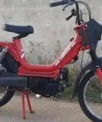 Califfone 50 Califfone 50