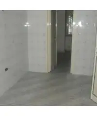 Napoli Affitto Appartamento Napoli Affitto Appartamento