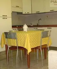 San Benedetto del Tronto Affitto Appartamento - Marche San Benedetto del Tronto Affitto Appartamento - Marche
