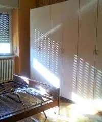 Affitto Appartamento a Cuneo Affitto Appartamento a Cuneo