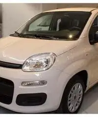 Fiat Panda NEOPATENTATI IN ARRIVO - 2016 Fiat Panda NEOPATENTATI IN ARRIVO - 2016