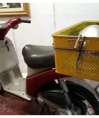 scooter Piaggio cc 50 scooter Piaggio cc 50