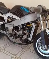 Polini 910 Polini 910