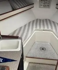 Carolina Classic 28